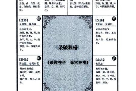 紫薇斗数几号盘