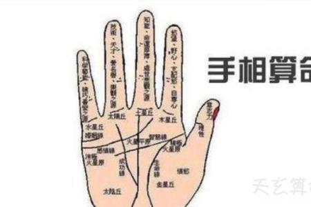 手相算命话语,手相算命说法