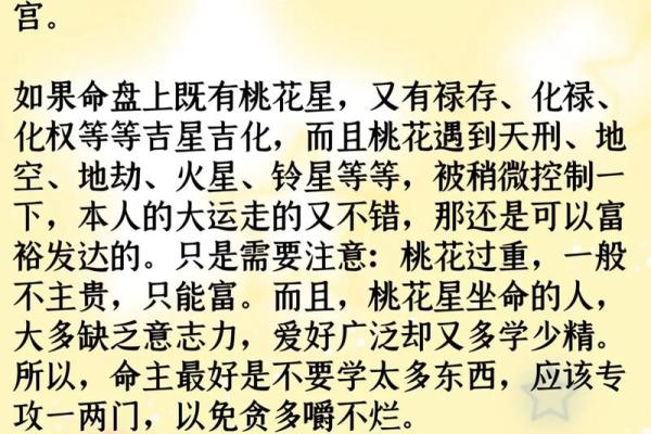 王员外紫薇斗数