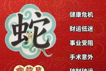 属蛇的人今日运势-360星座网
