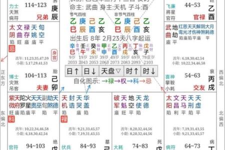 紫薇斗数子斗亥