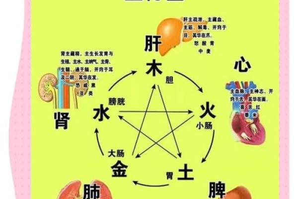 阴阳五行是八字命理的基础 阴阳五行是八字命理的基础