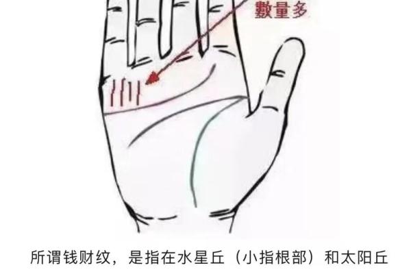 财运线是哪一条？财运线算命图解