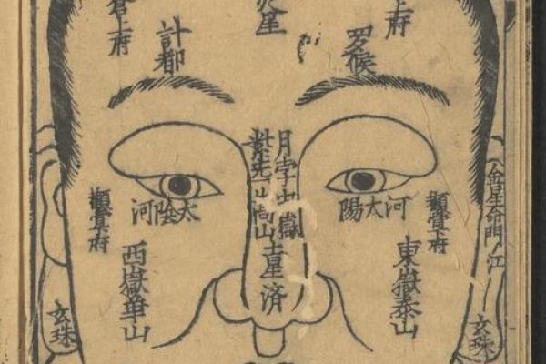 相书算命面相 相书中的面相能算命吗