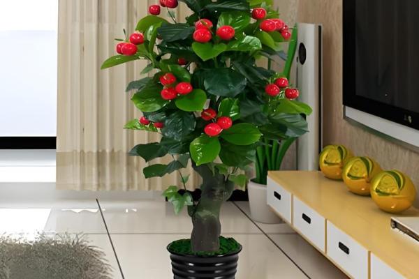 假花摆放在房屋里哪里不会影响到风水呢 假花摆放在房屋里哪里不会影响到风水呢