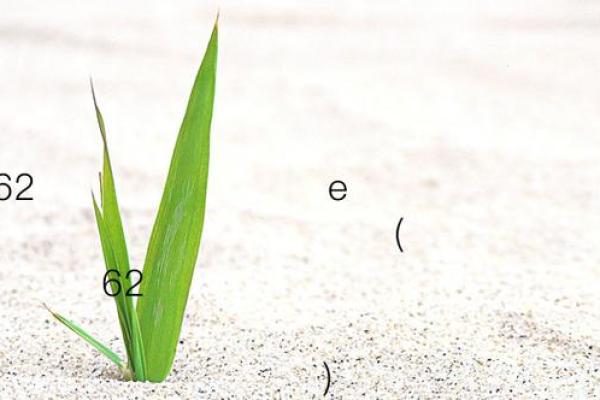 月老灵签姻缘42签解签