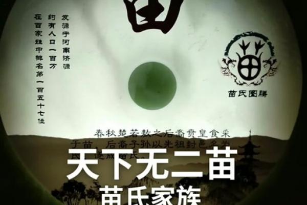 苗姓宗祠对联族谱和苗氏家族的字辈排行-姓名学-华易网姓名