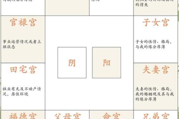 八字算命四大宫位的含义及取象