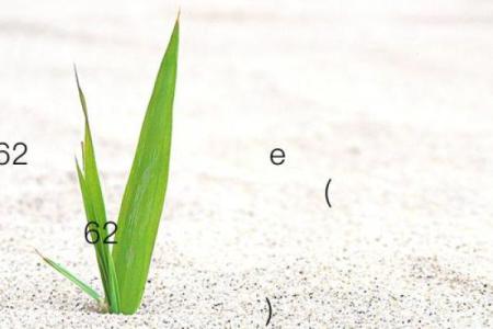 月老灵签姻缘42签解签