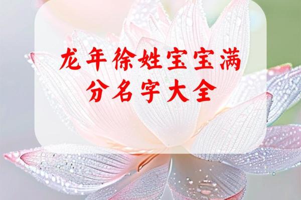 徐姓男孩名字大全-徐姓男孩起名字大全-徐姓名字大全姓名 徐姓男孩名字大全-徐姓男孩起名字大全-徐姓名字大全姓名