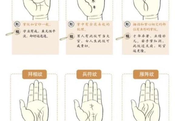 免费拍照看手相算命在线