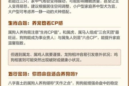 属狗农历三月十一算命