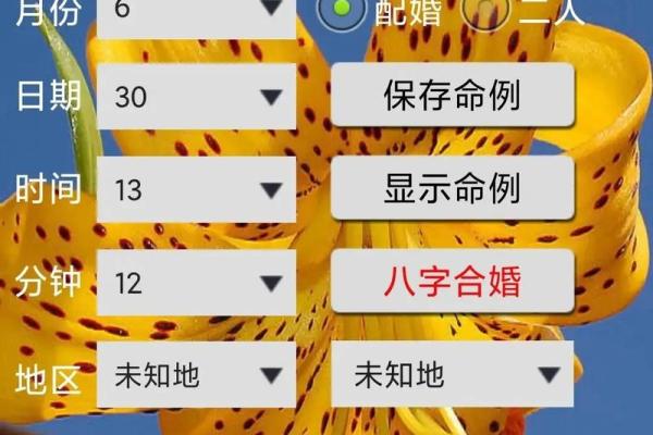 八字排盘算命软件下载