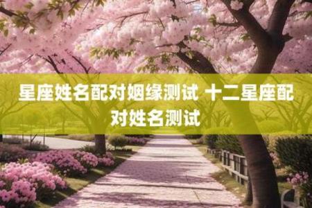姓名配对科技星座网 姓名配对正式版？