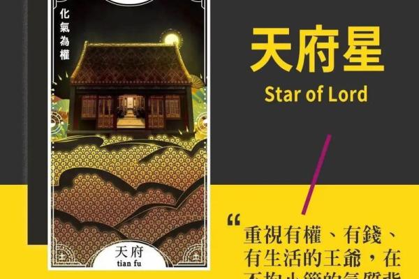 紫薇斗数比塔罗