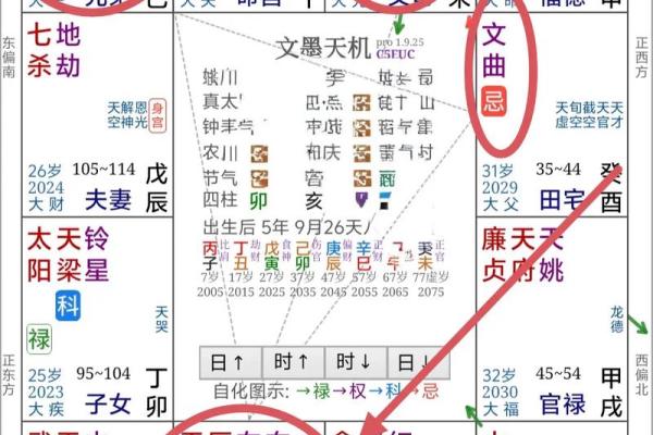 紫薇斗数书籍详解