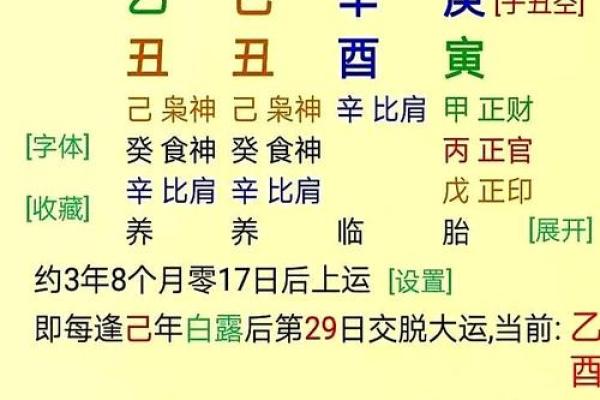 八字算命人的命运