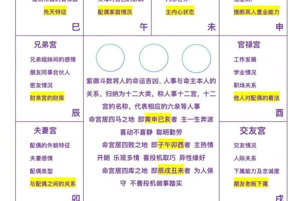 紫薇斗数命宫原理