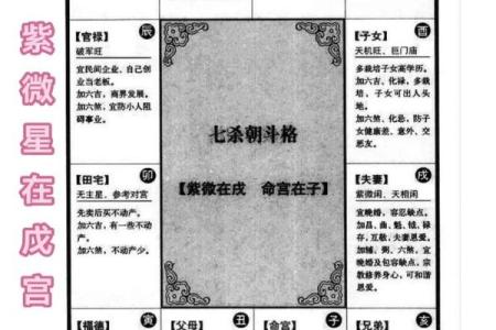 曹德旺紫薇斗数