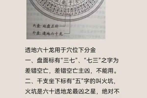 风水房子在龙肚子好吗