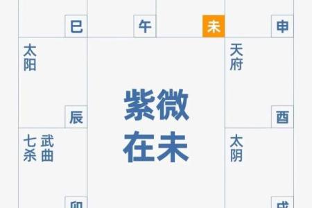 紫薇斗数中看长相