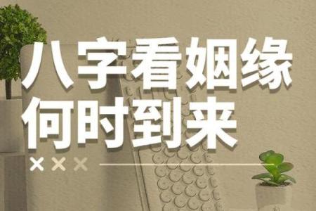 两人姻缘测试免费-卜易居算命网免费算命-在线算命占卜免费测运