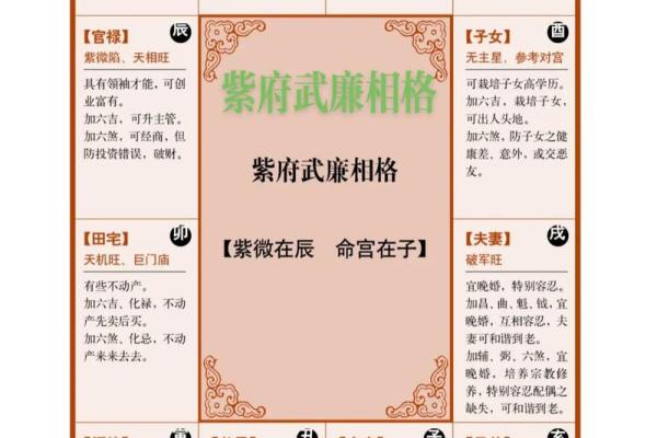 紫薇斗数命宫有哪些