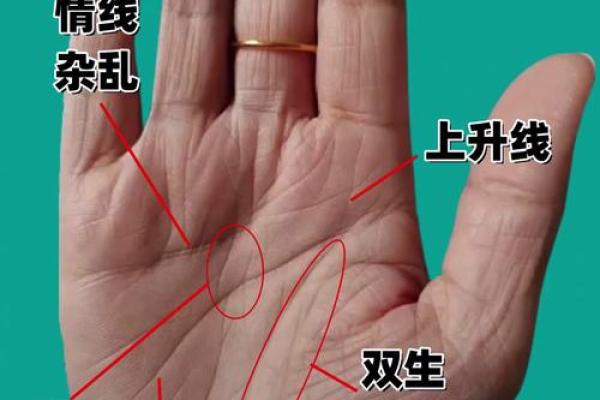 手型算命：兼型手人的性格与命运