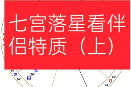 11月28日星座第一宫是什么