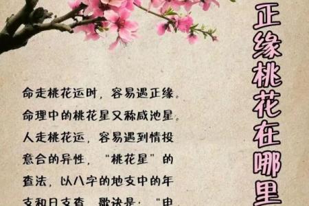 八字命理揭秘：如何从命理学角度预测体型走势？