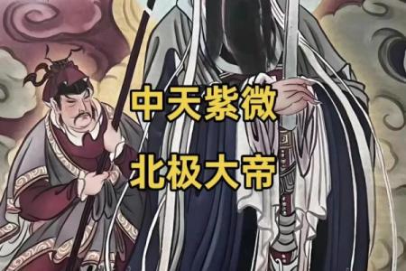 预言紫薇星出世