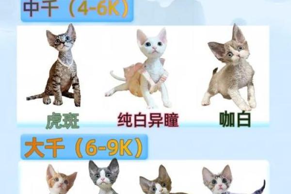 姓名测试配对前世今生的 姓名配对测二人前世关系? 姓名测试配对前世今生的 姓名配对测二人前世关系?