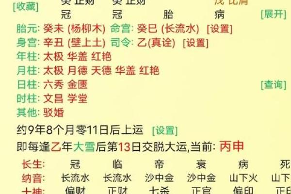 自带贵气的八字-日元身旺以财官为用神