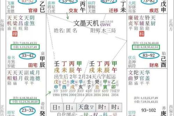 大运紫微斗数命盘查询详解 紫微斗数大运什么意思？