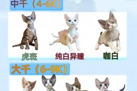 姓名测试配对前世今生的 姓名配对测二人前世关系？