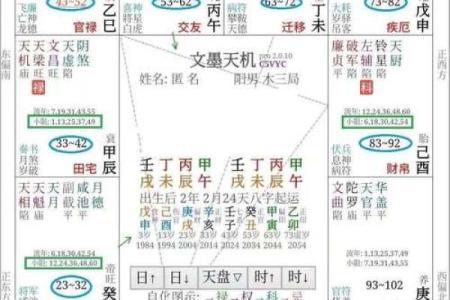 大运紫微斗数命盘查询详解 紫微斗数大运什么意思？