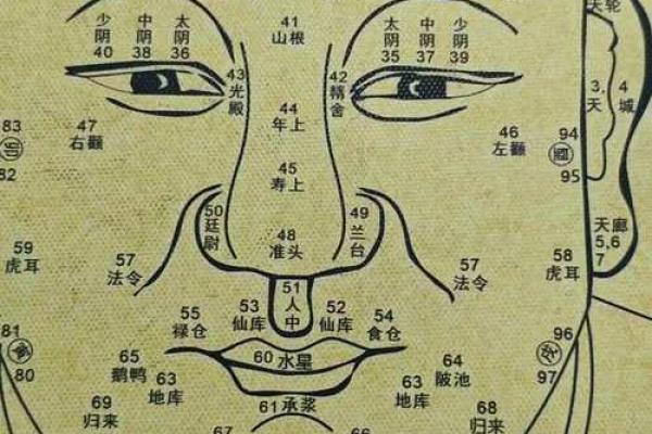 八字眉毛修饰图解女人命运 八字眉毛修饰图解女人命运