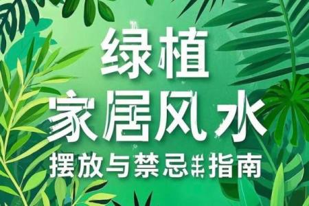 简单的风水改运，绿植摆放指南