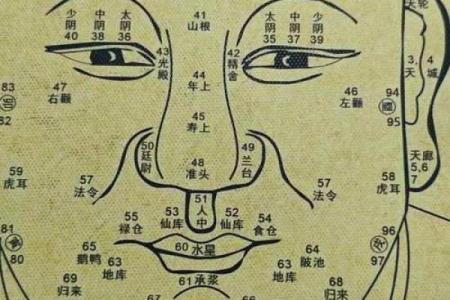 八字眉毛修饰图解女人命运