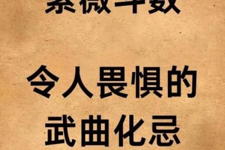 紫微斗数新字 紫微斗数讲堂？