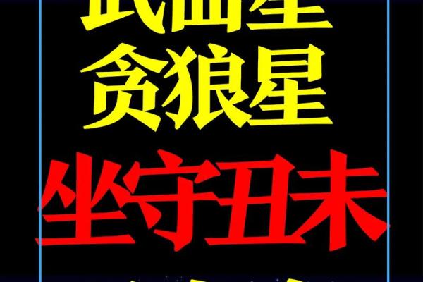 紫薇斗数看讨债 紫薇斗数看讨债