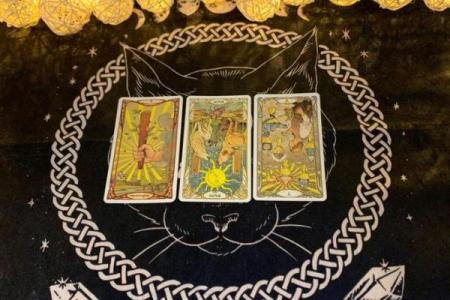 塔罗牌星座感情运势陶白白巨蟹