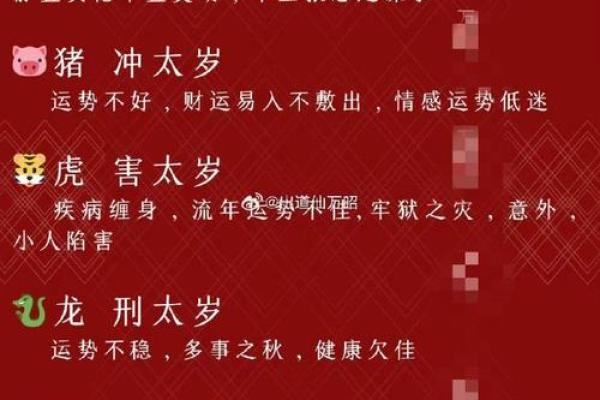 瓜田李下是什么生肖