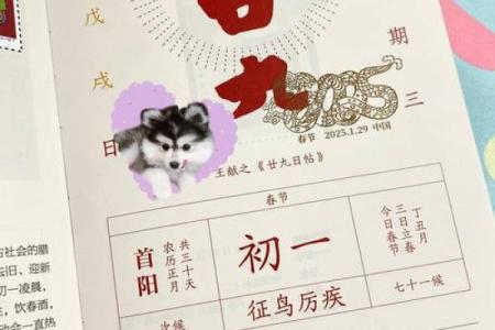 2025年适合新居乔迁日历(2025年适合新居乔迁日历吗)