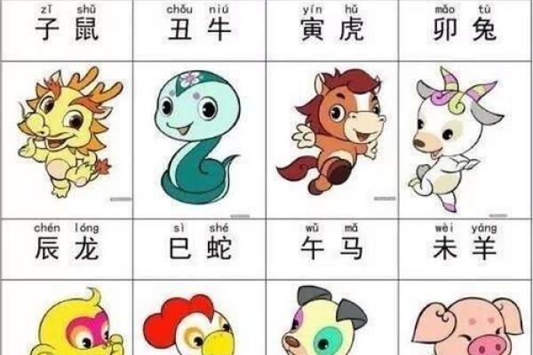 大街小巷是指什么生肖(大街小巷猜一种动物)