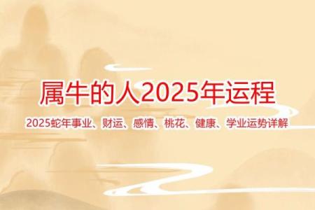 2025年金牛座事业运势_2025年金牛座事业运势塔罗牌