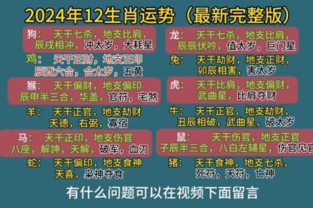 前途无量是什么生肖(前途无量是什么生肖出来好一肖)