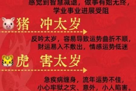独守空房是什么生肖(独守空房是哪个生肖)