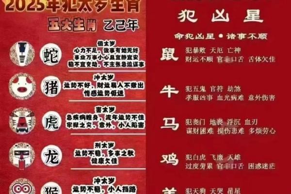 2025年属龙的多少岁 2025年属龙人年龄对照表各出生年份及月份岁数解析