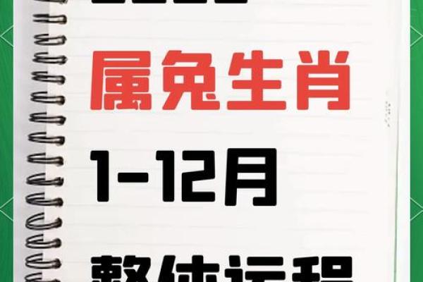 1975属兔人2025运气好吗_2025年属兔天降大喜